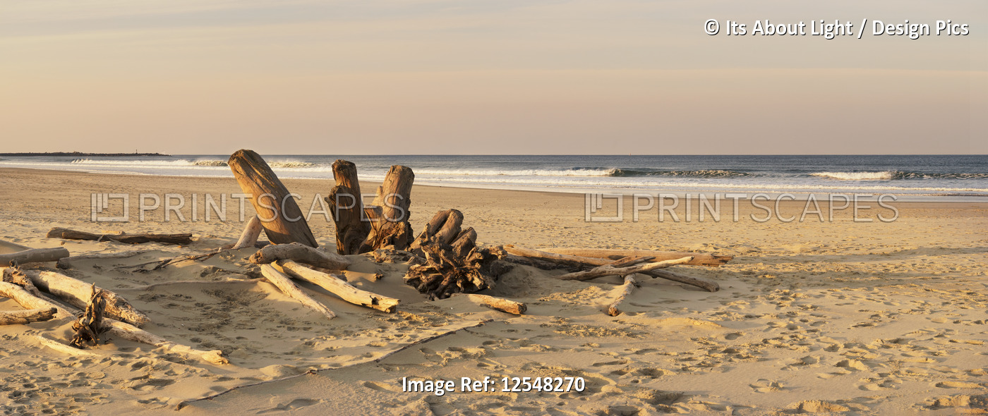Driftwood on Heceta Beach taken at sunrise; Oregon, United States of America
